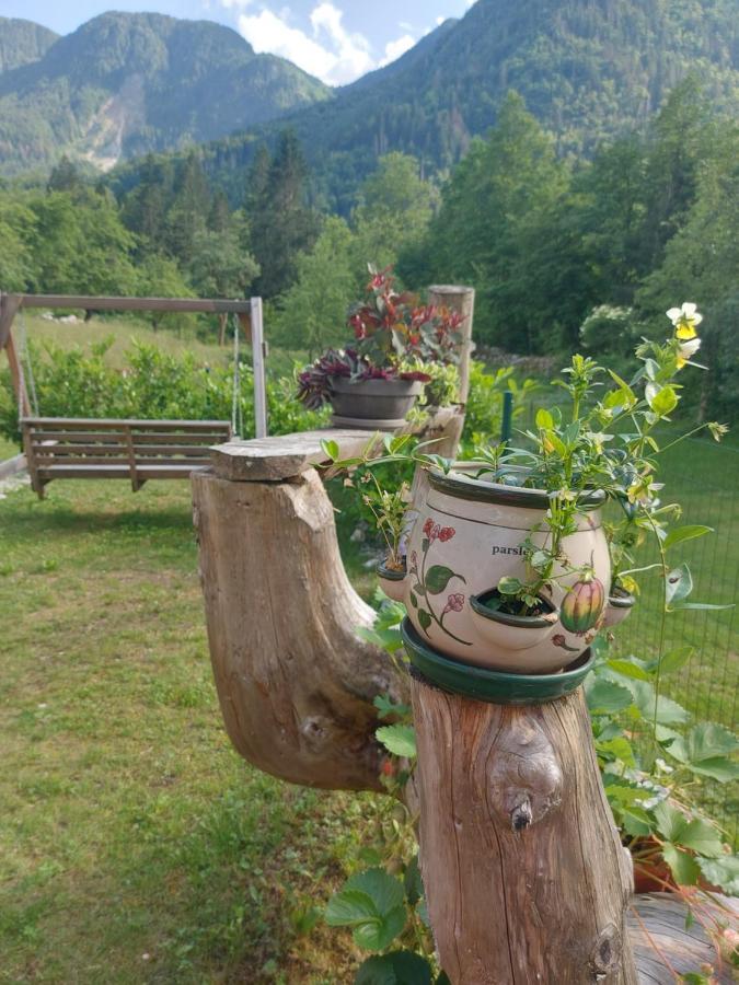 Apartmaji Katrc Soča Eksteriør bilde