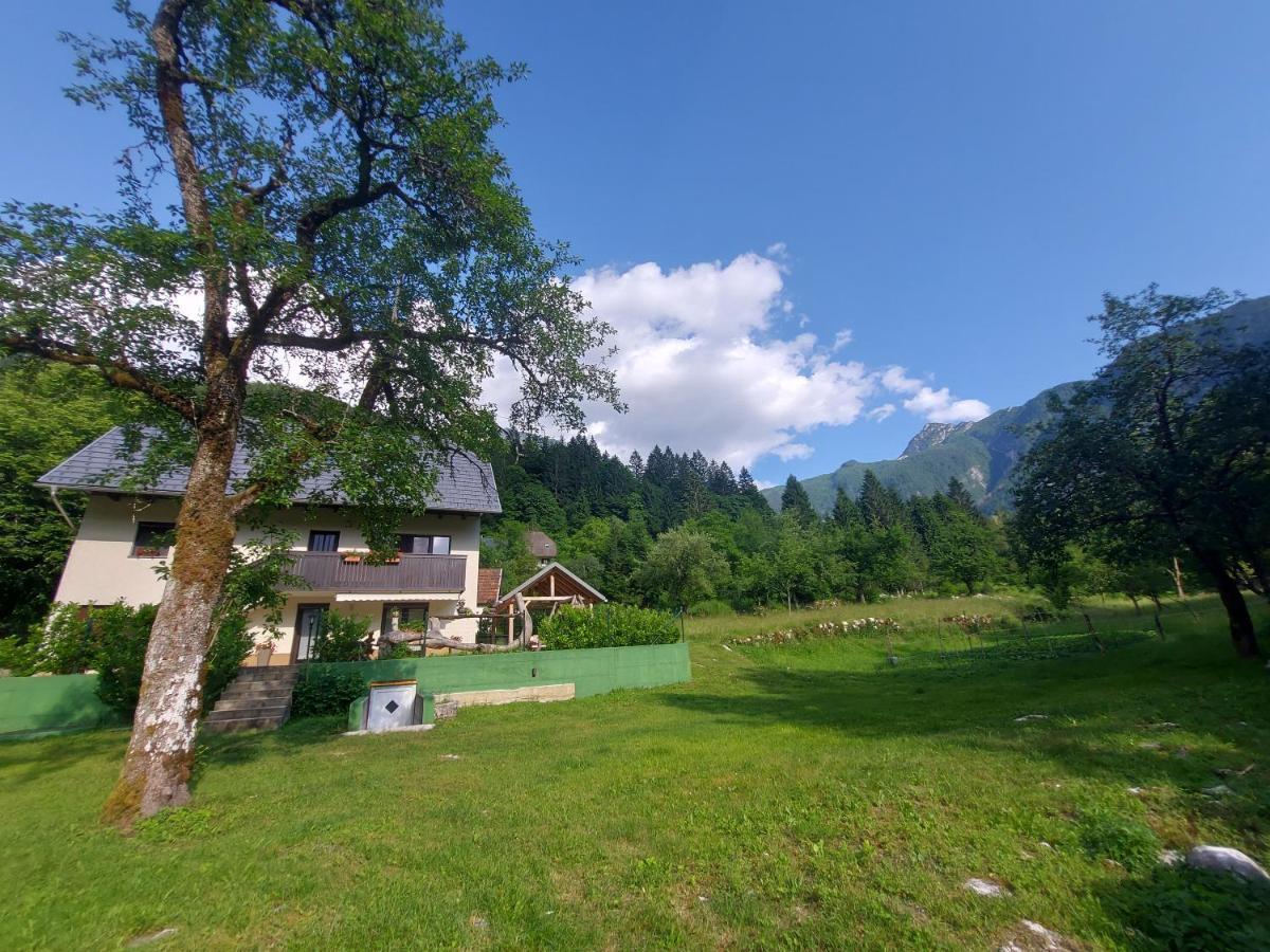 Apartmaji Katrc Soča Eksteriør bilde