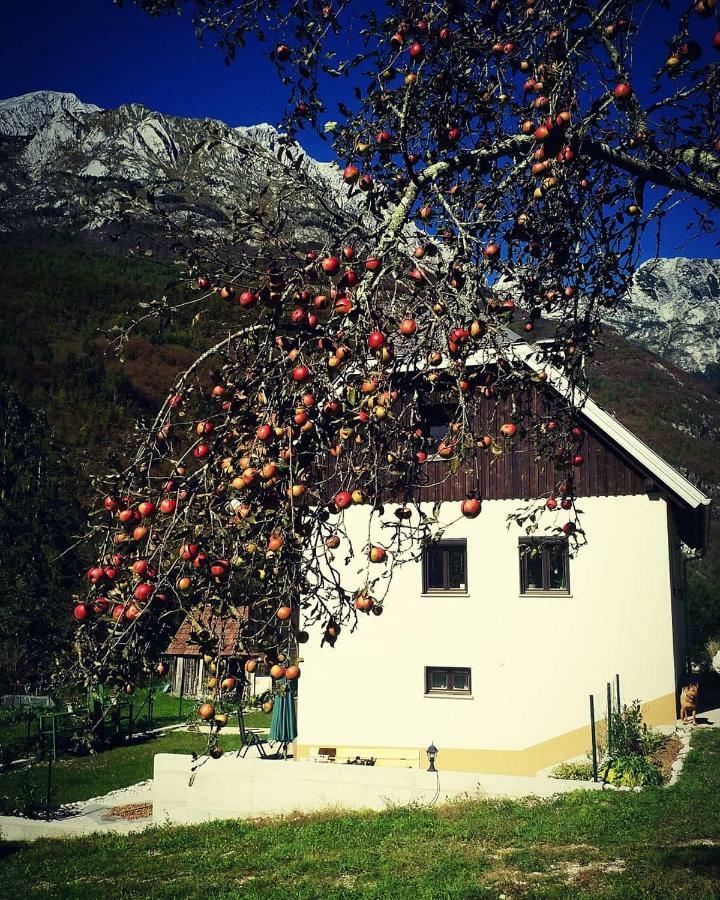 Apartmaji Katrc Soča Eksteriør bilde