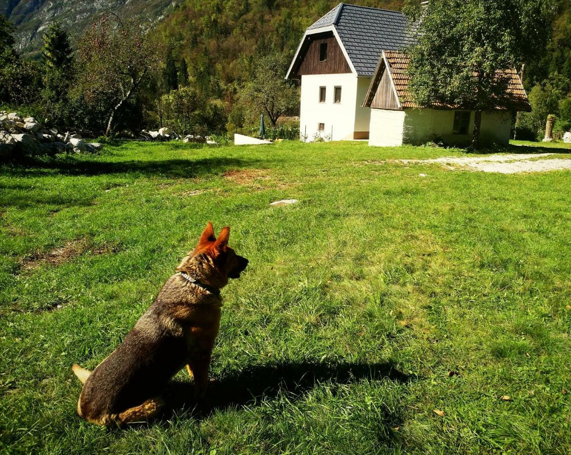 Apartmaji Katrc Soča Eksteriør bilde